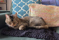 Small Knit Plush Pet Blanket