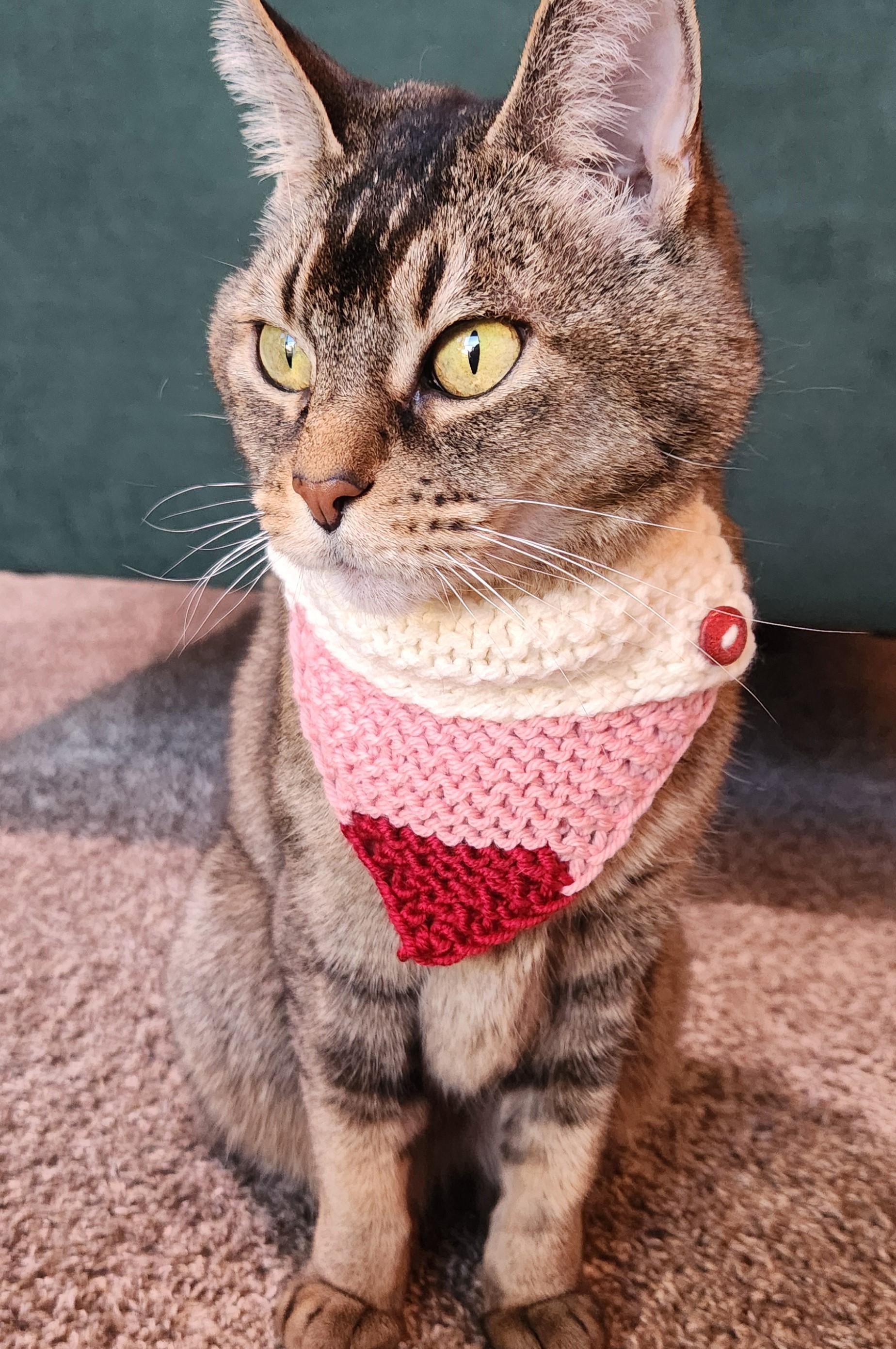 Valentine's small pet bandana, knit over-the-collar cat bandanna, red white pink striped pet neckwear